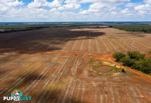 4669 Tabratong Crossing Road Tottenham NSW 2873