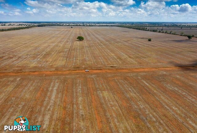 4669 Tabratong Crossing Road Tottenham NSW 2873