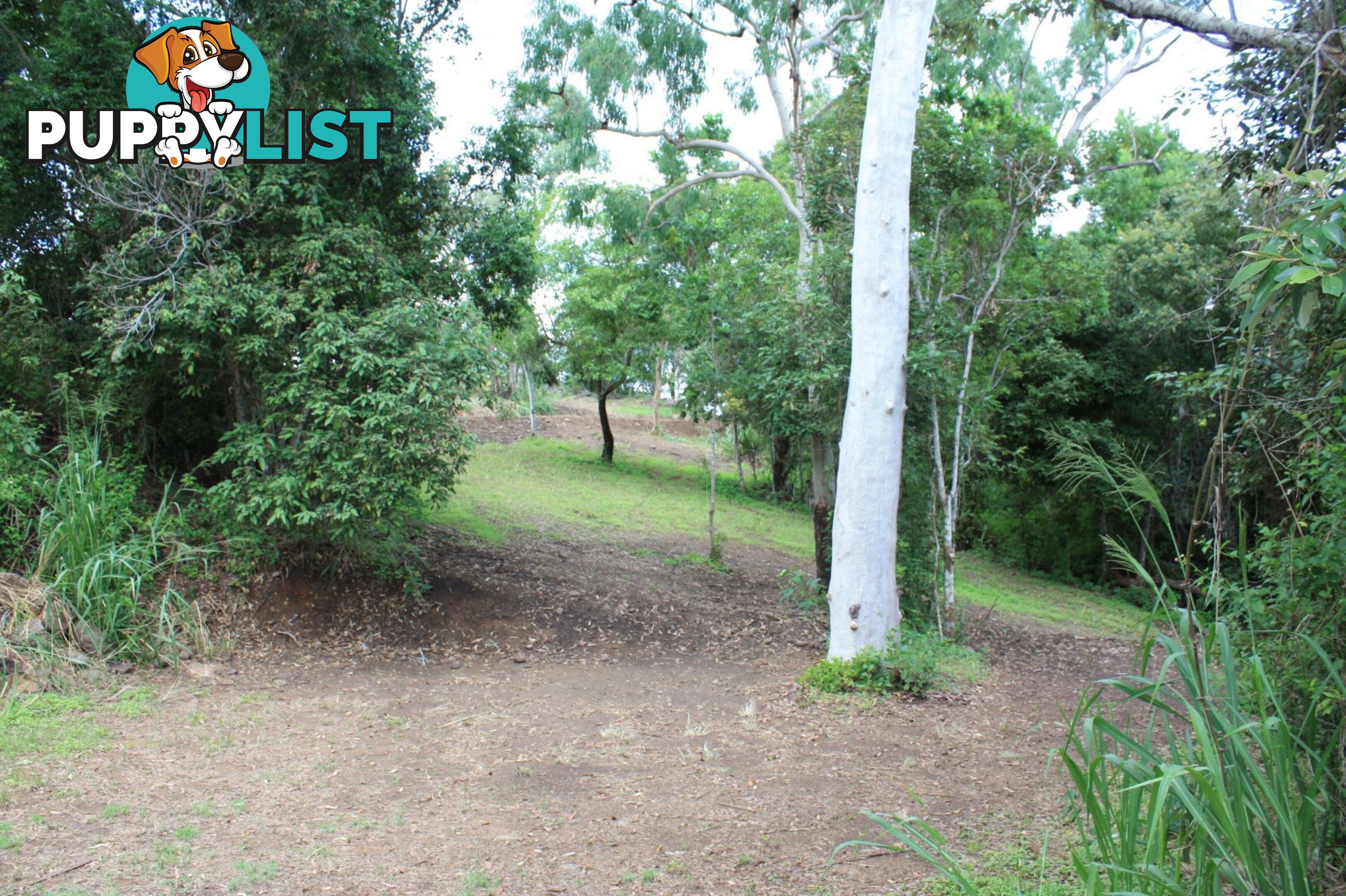 70 Mountain View Woodwark QLD 4802