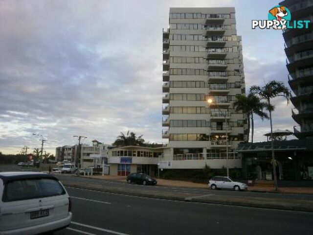 Maroochydore QLD 4558