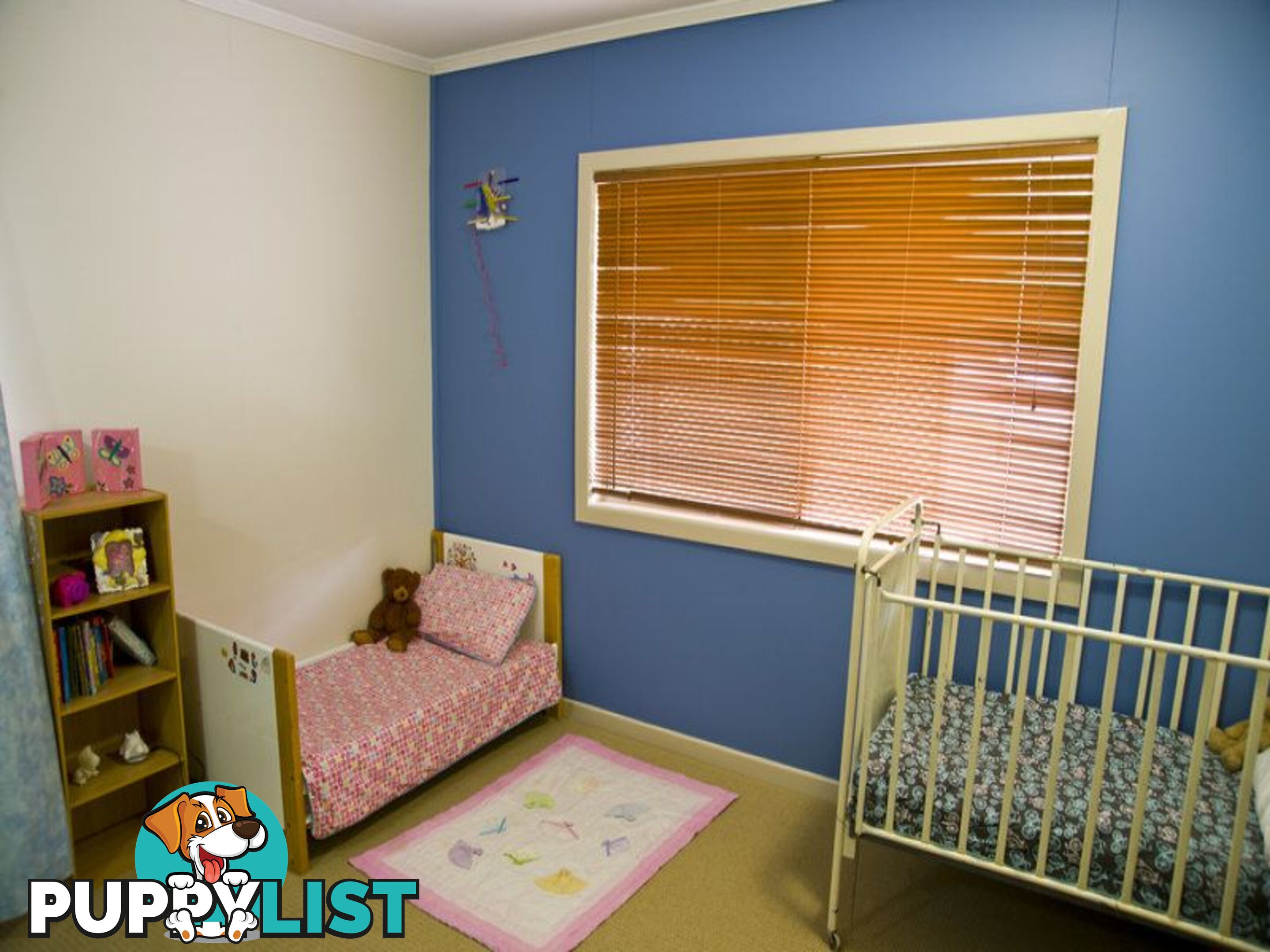 7 Borland Street ROMA QLD 4455