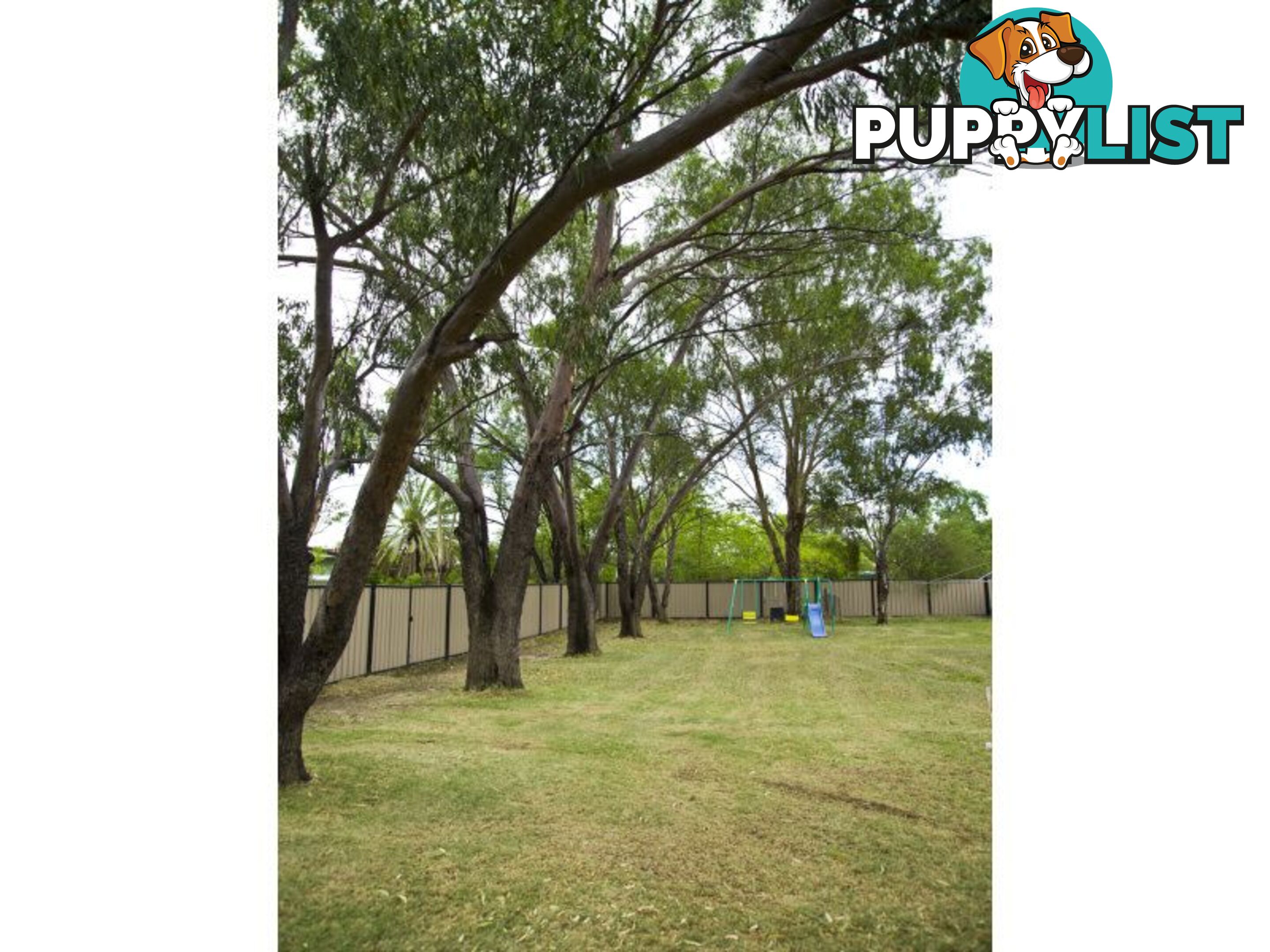 7 Borland Street ROMA QLD 4455