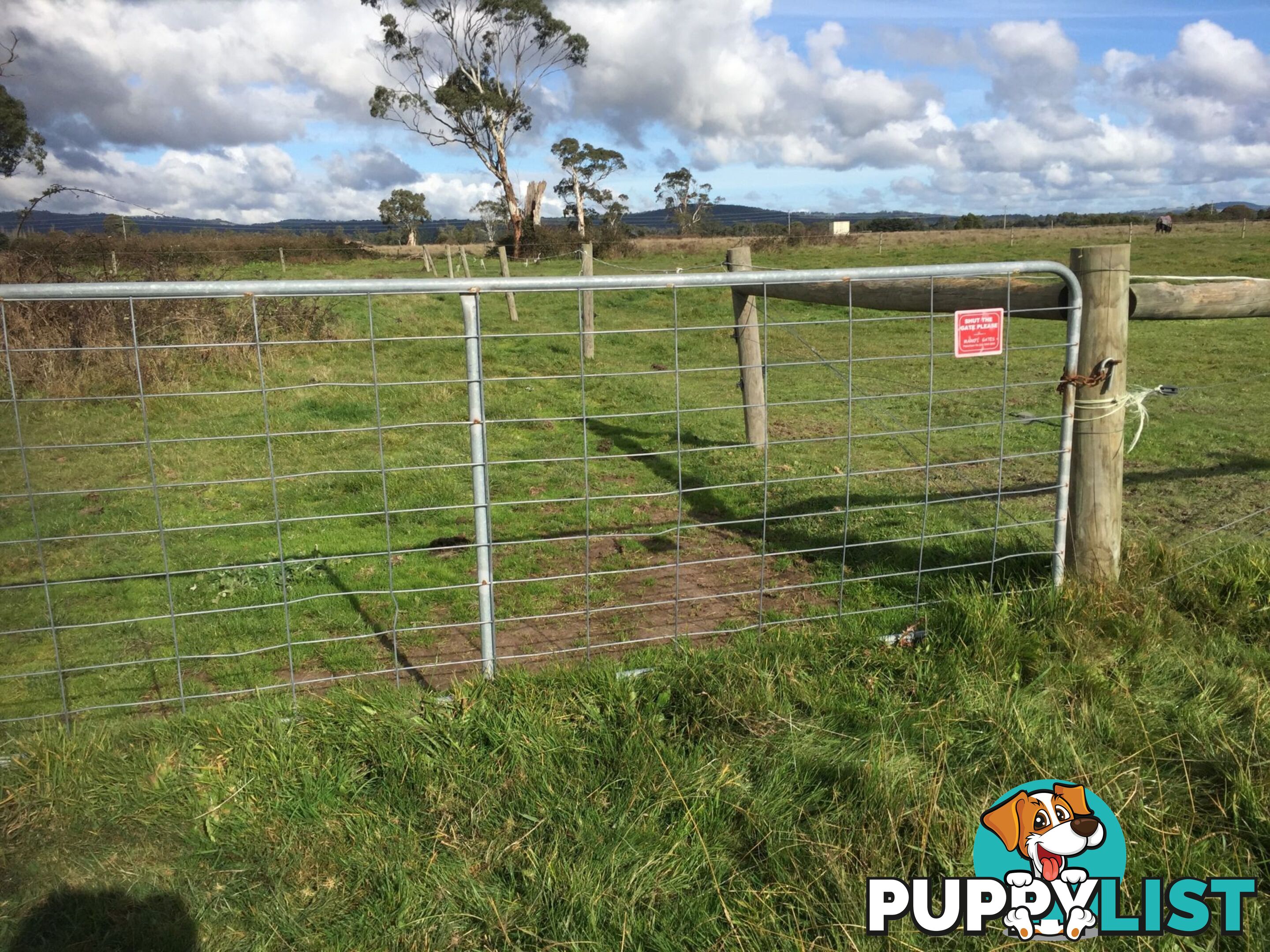 Lot 2 Jumbuk Road Yinnar VIC 3869