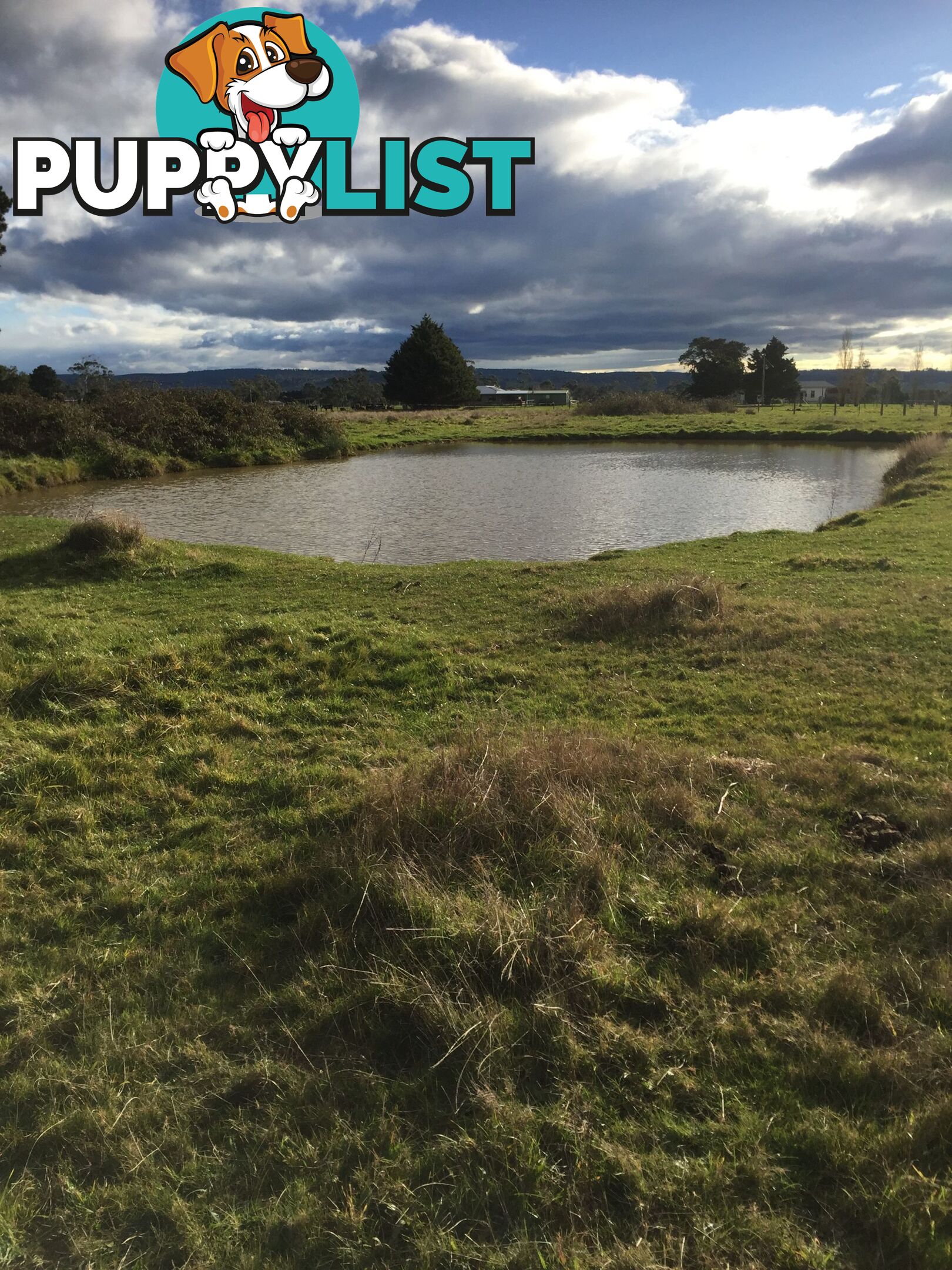 Lot 2 Jumbuk Road Yinnar VIC 3869