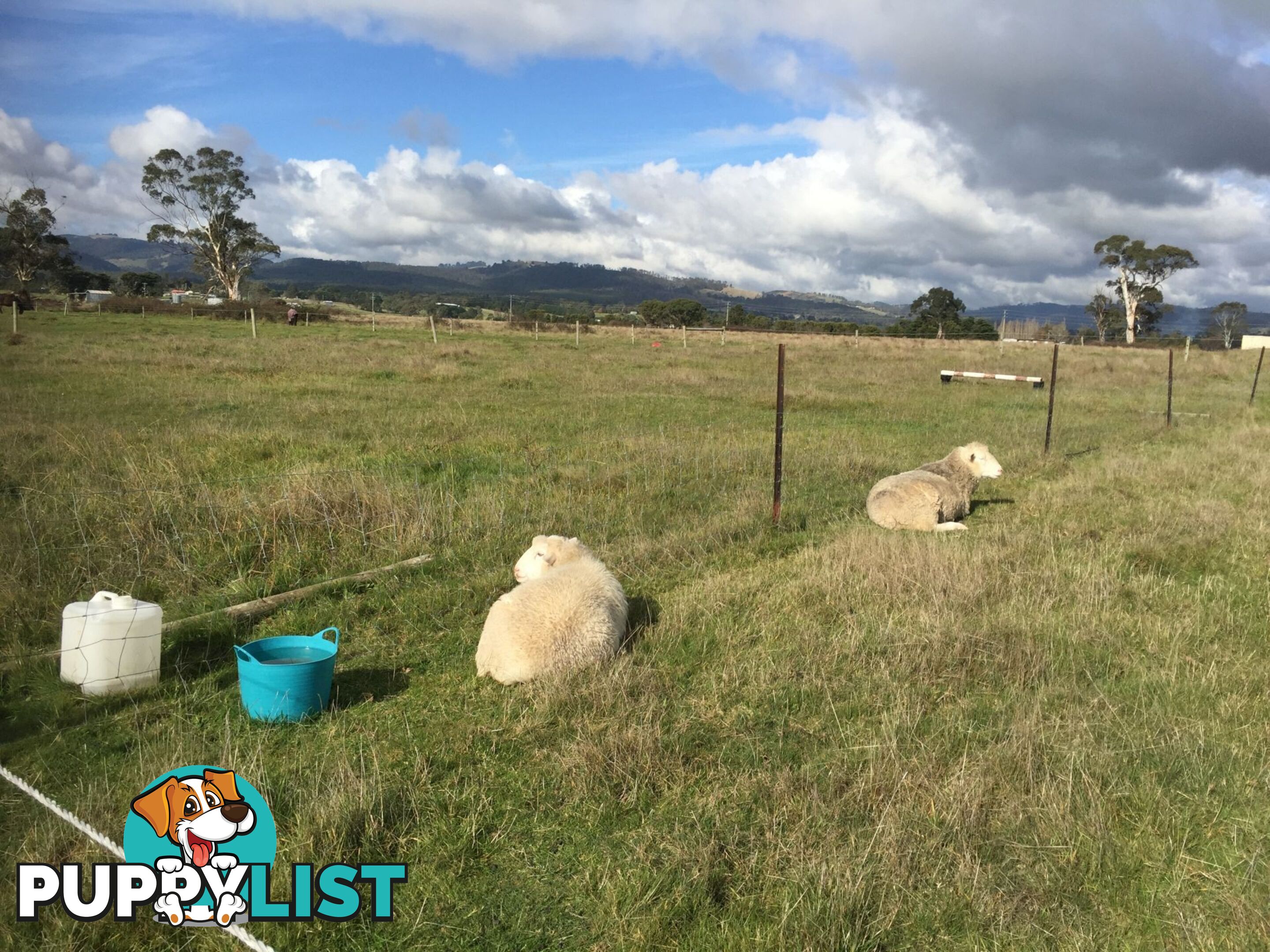 Lot 2 Jumbuk Road Yinnar VIC 3869