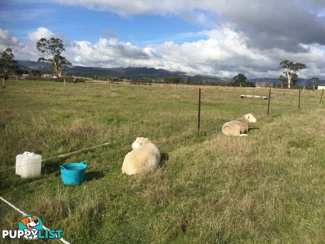 Lot 2 Jumbuk Road Yinnar VIC 3869