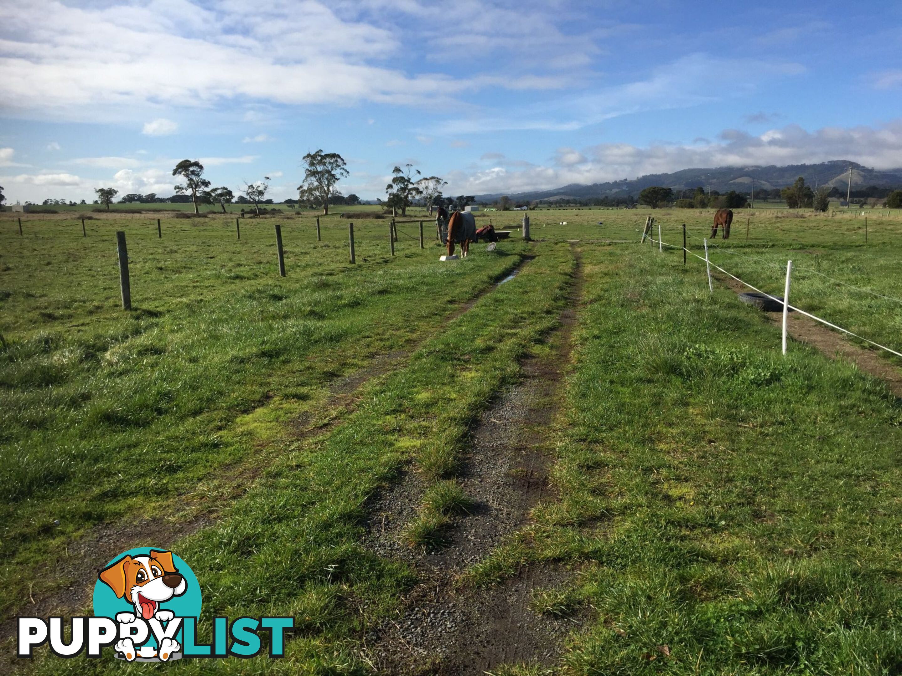 Lot 2 Jumbuk Road Yinnar VIC 3869