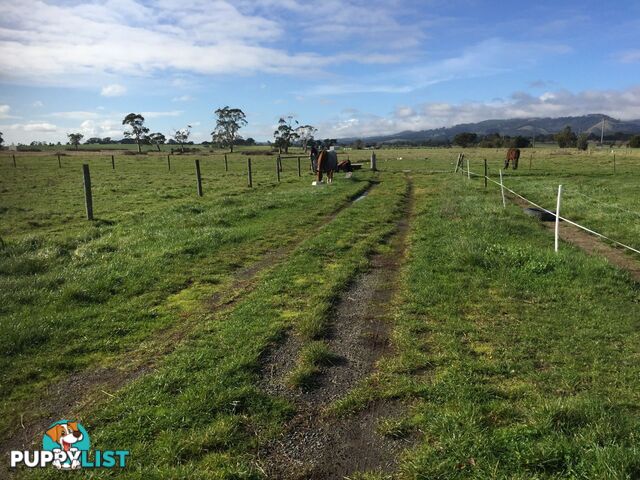 Lot 2 Jumbuk Road Yinnar VIC 3869