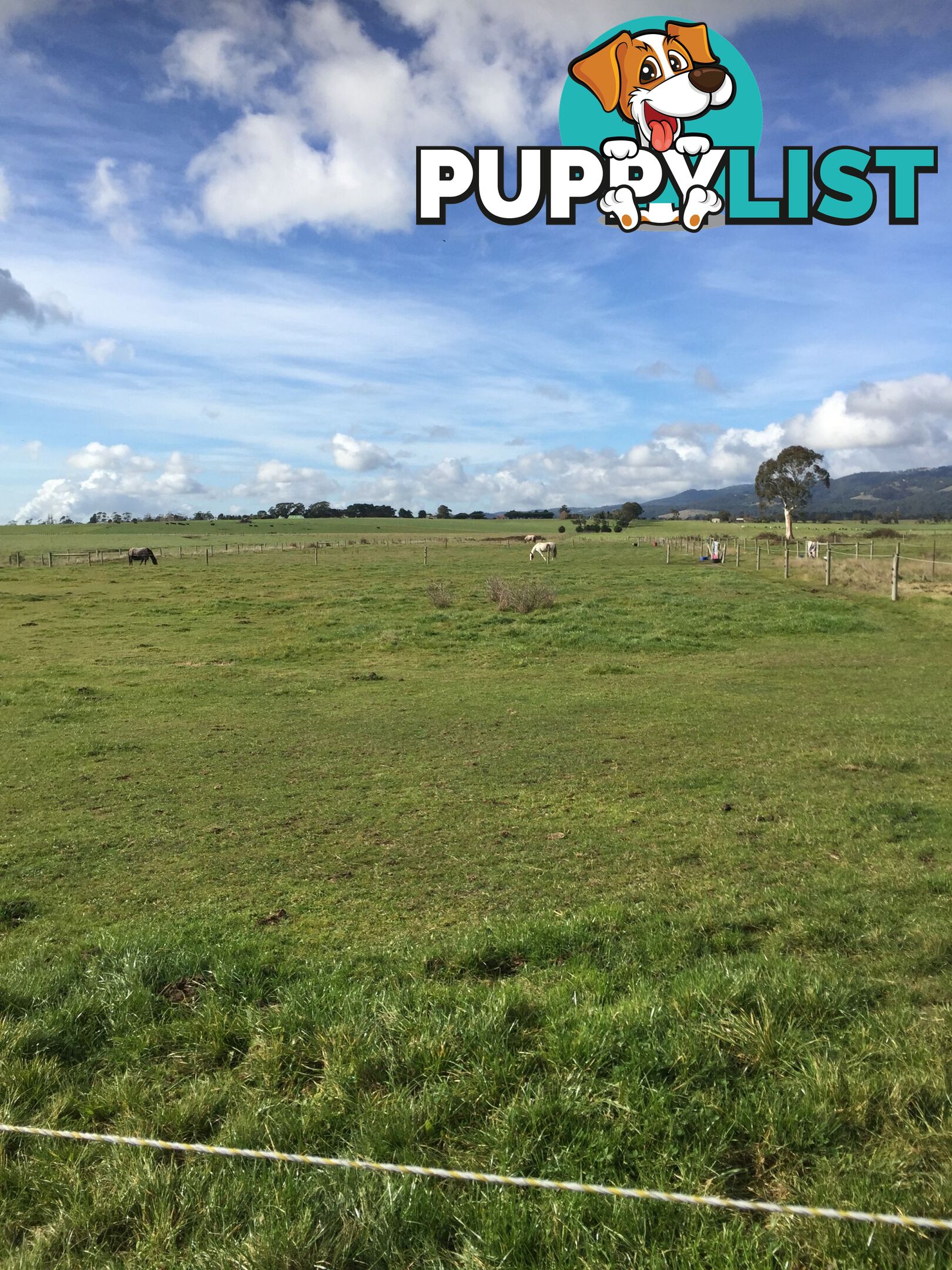 Lot 2 Jumbuk Road Yinnar VIC 3869