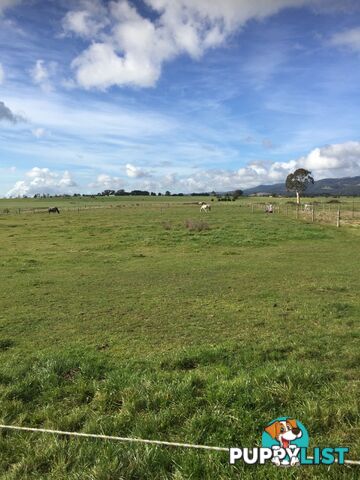 Lot 2 Jumbuk Road Yinnar VIC 3869