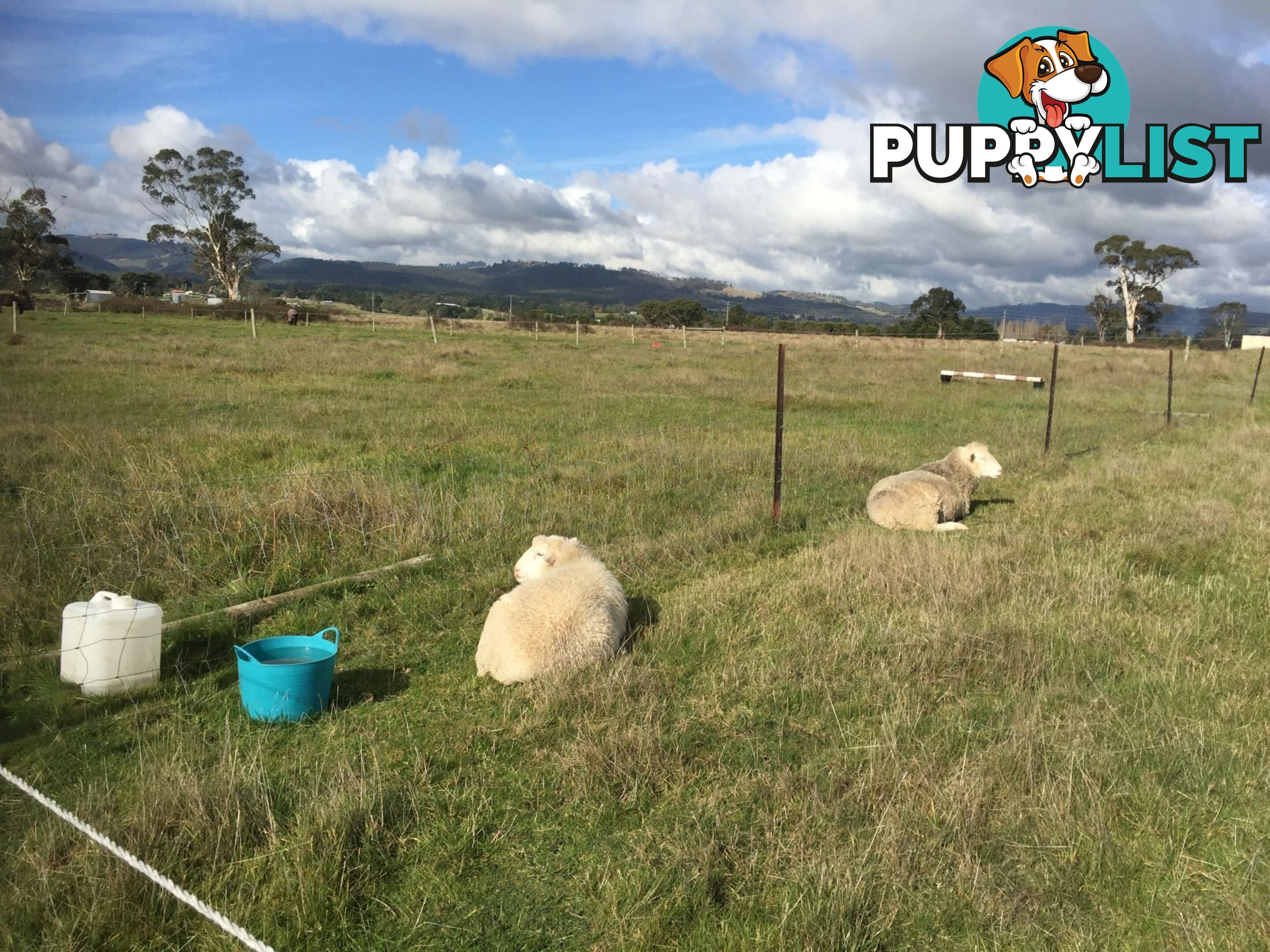 Lot 2 Jumbuk Road Yinnar VIC 3869