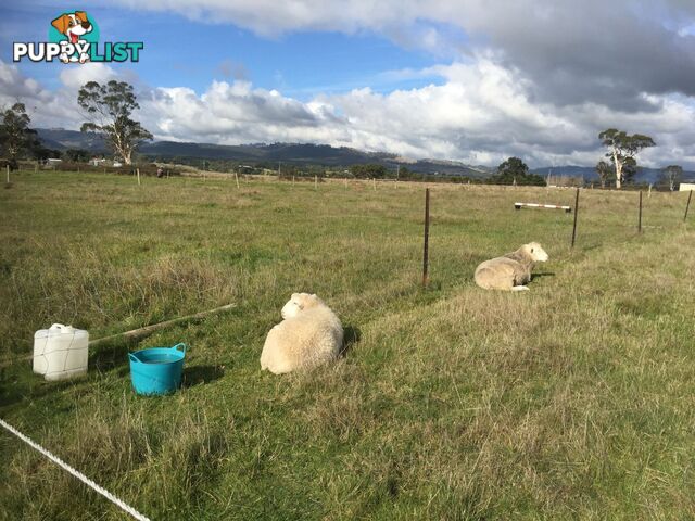 Lot 2 Jumbuk Road Yinnar VIC 3869