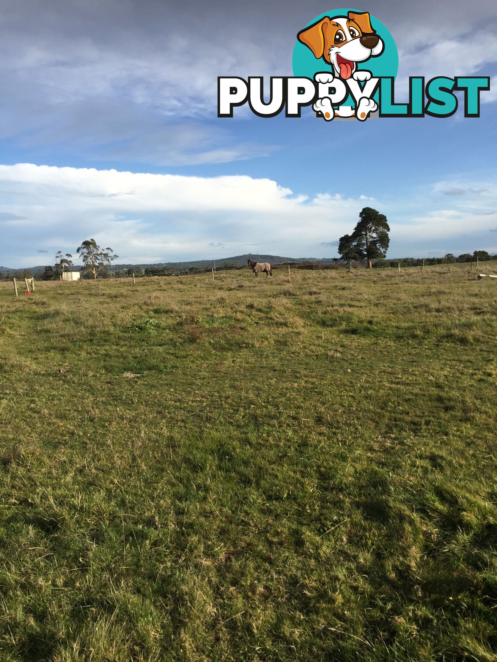 Lot 2 Jumbuk Road Yinnar VIC 3869