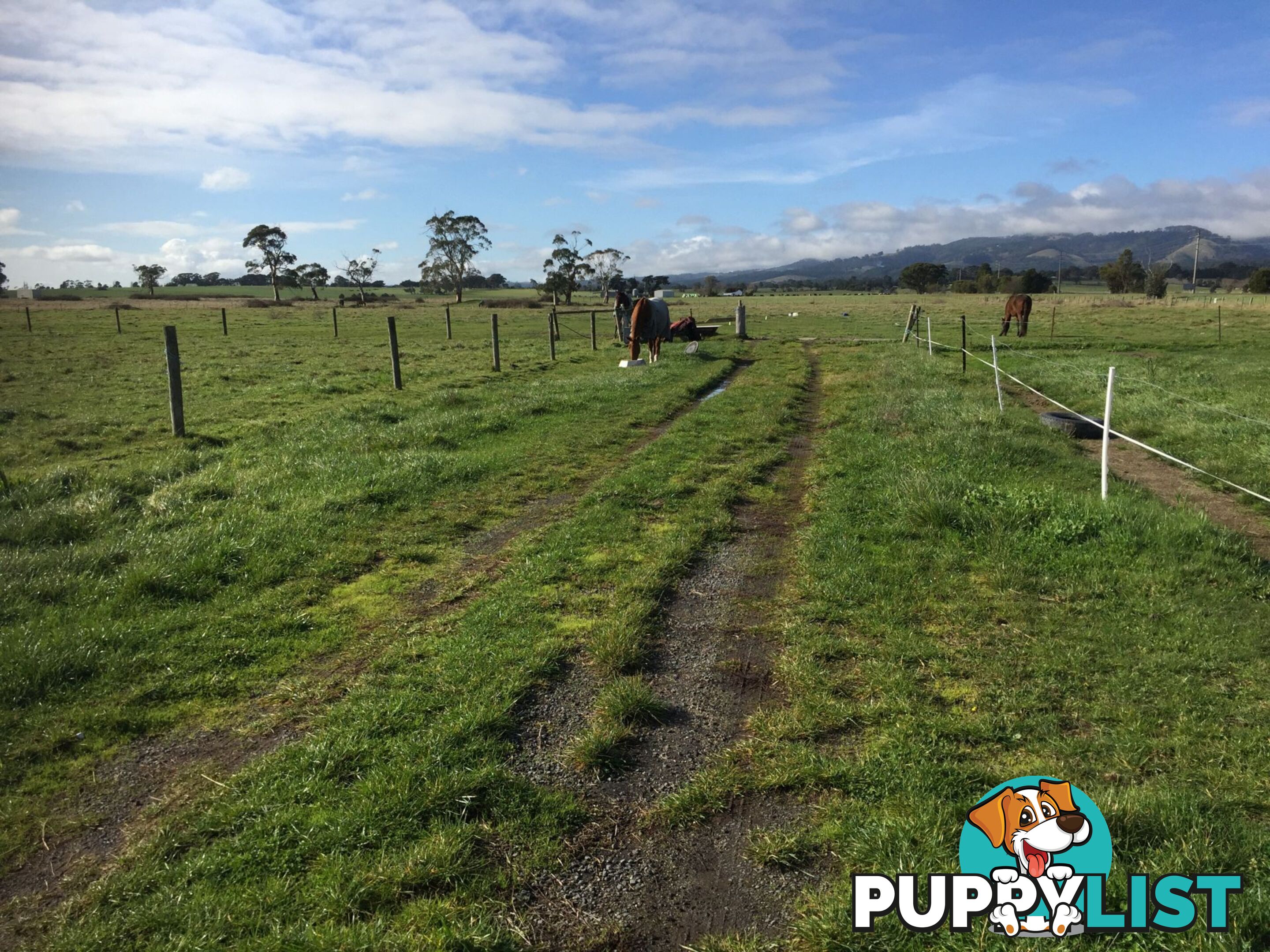 Lot 2 Jumbuk Road Yinnar VIC 3869