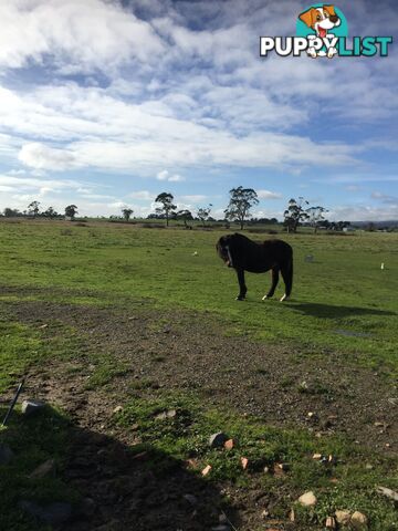 Lot 2 Jumbuk Road Yinnar VIC 3869