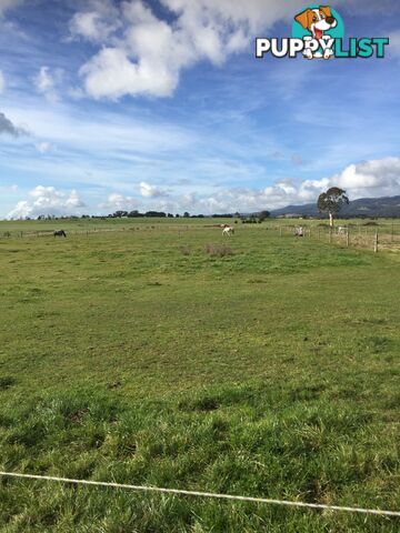 Lot 2 Jumbuk Road Yinnar VIC 3869