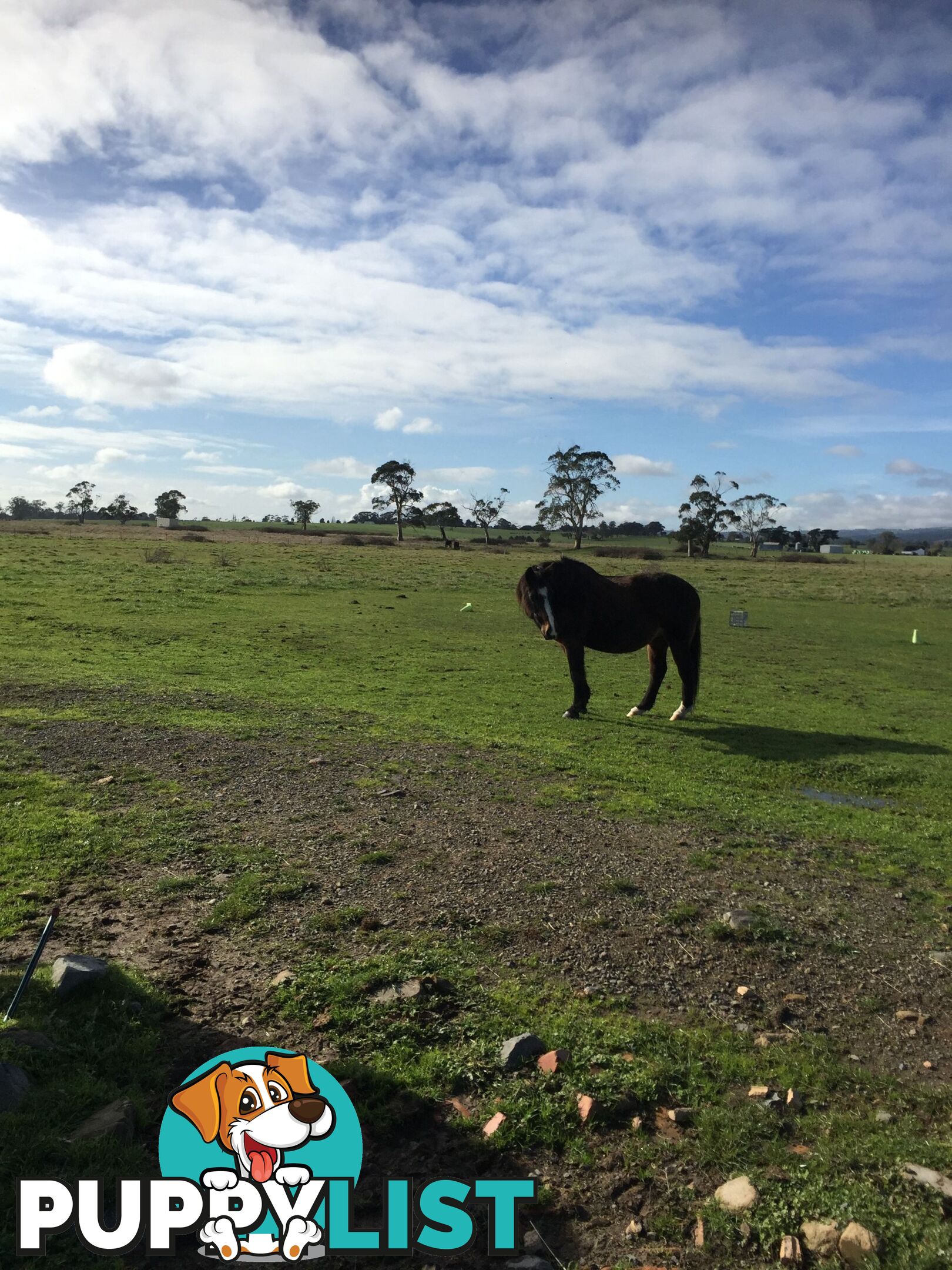 Lot 2 Jumbuk Road Yinnar VIC 3869