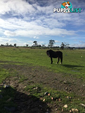 Lot 2 Jumbuk Road Yinnar VIC 3869