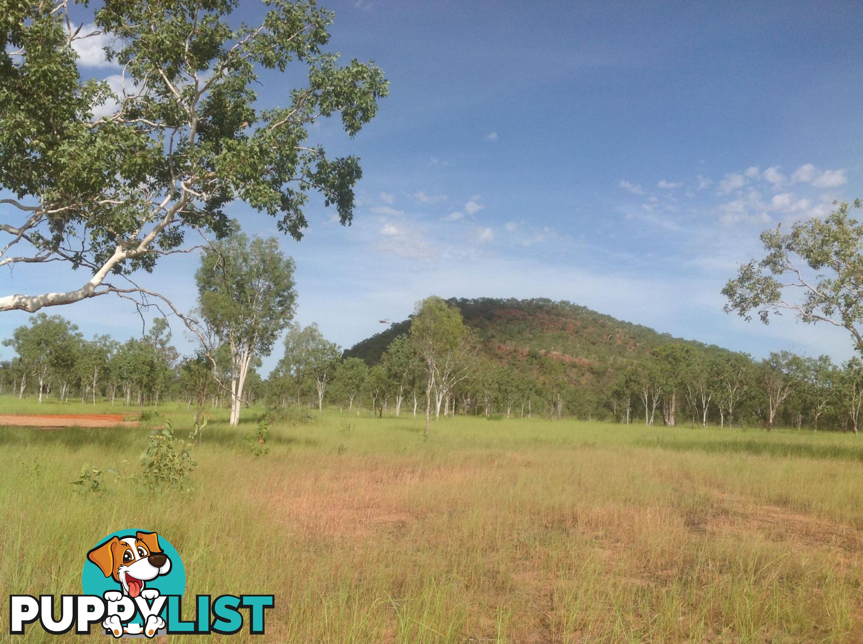 647 Crossing Falls Road Kununurra WA 6743