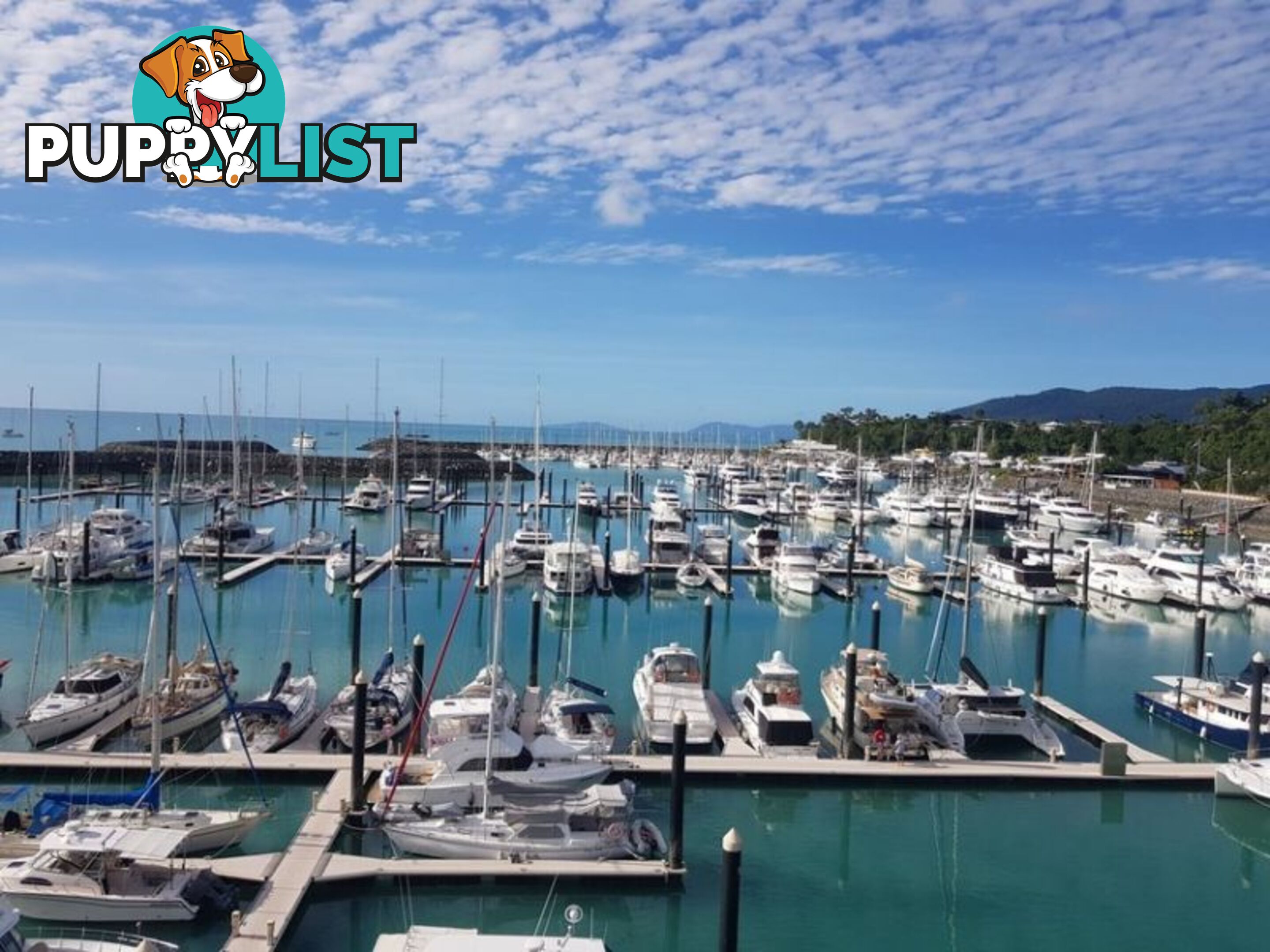 Airlie Beach QLD 4802