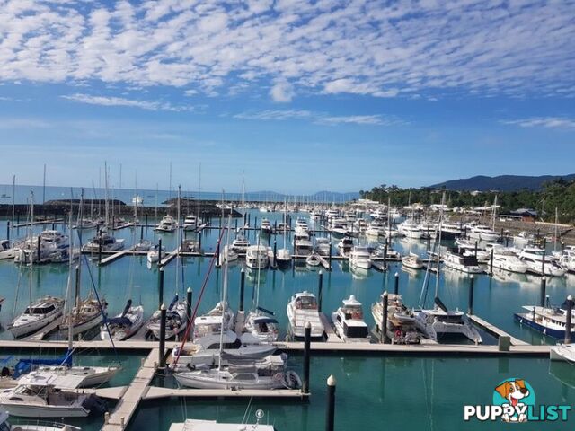 Airlie Beach QLD 4802