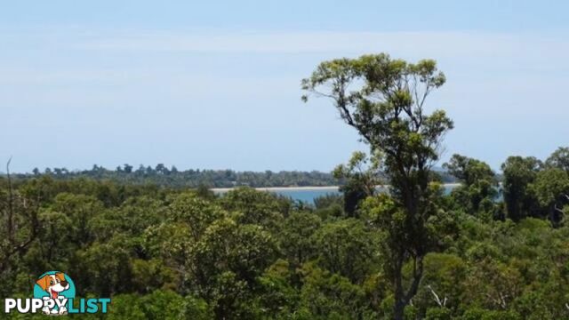 116 Fig Tree Beach Road Midgeree Bar QLD 4852