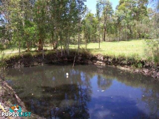 206 Wharf Rd Johns River NSW 2443