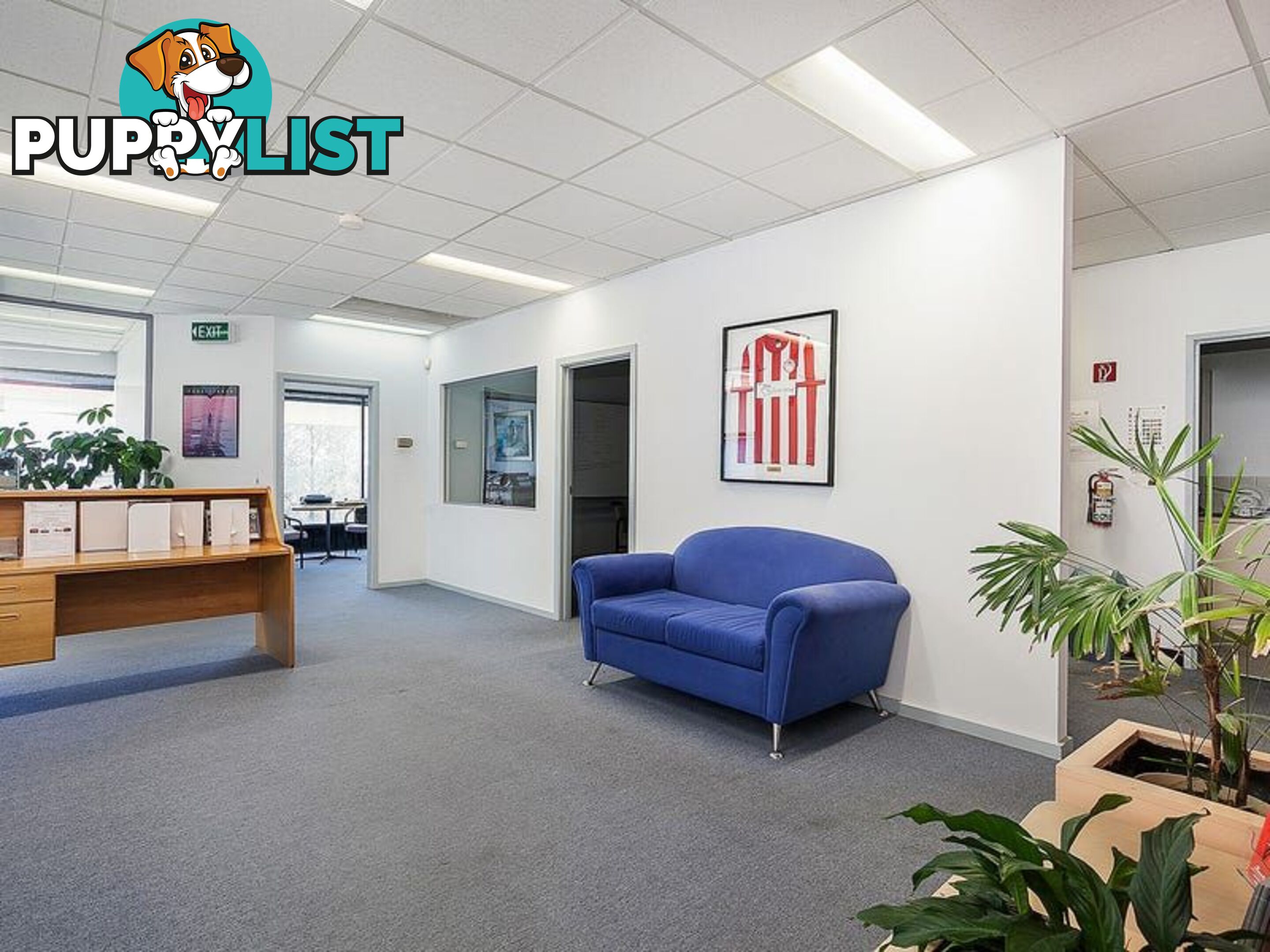 First Fl, Unit 6 27 Thornton Crescent MITCHAM VIC 3132