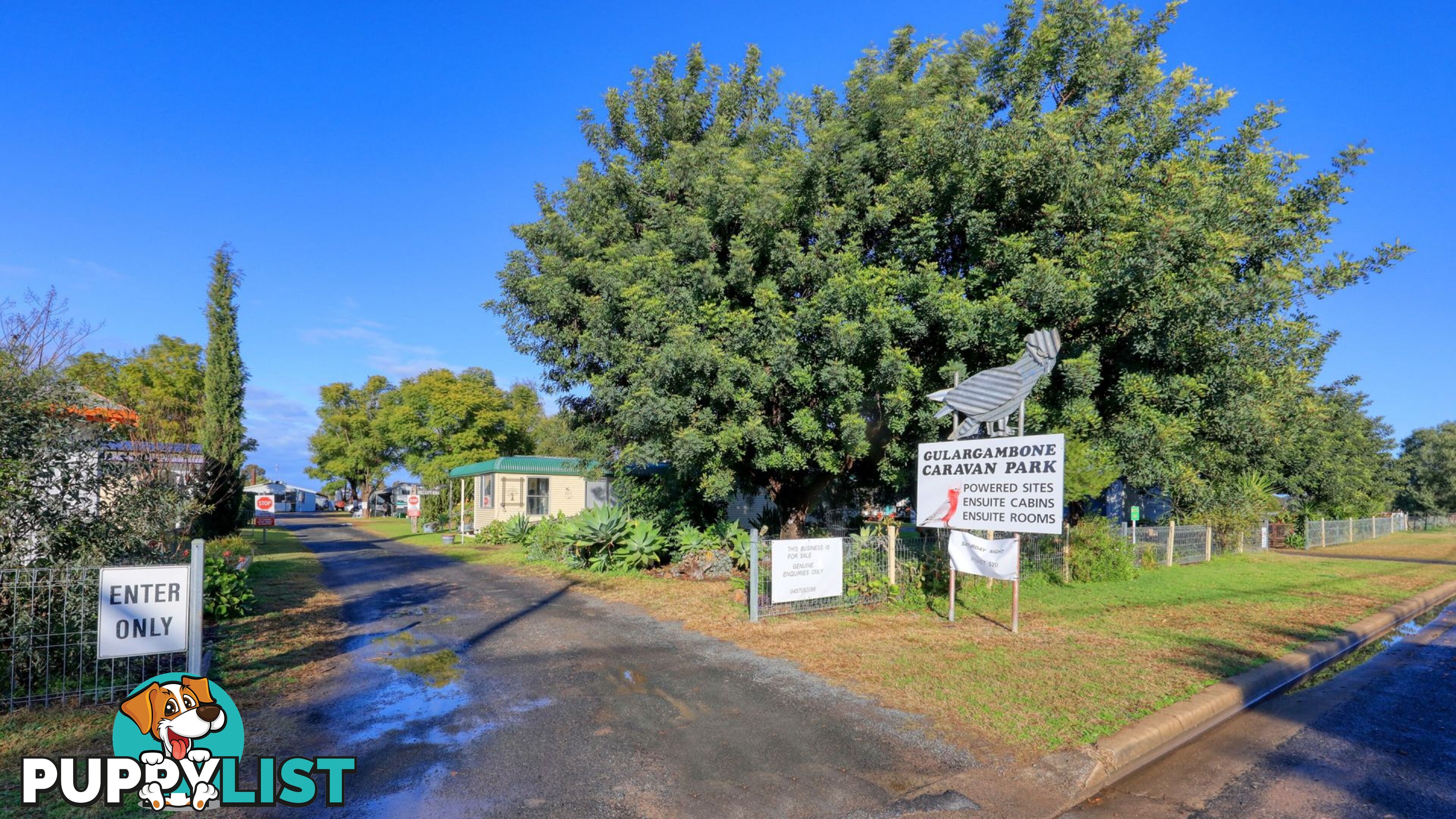 9-17 Skuthorpe Street Gulargambone NSW 2828