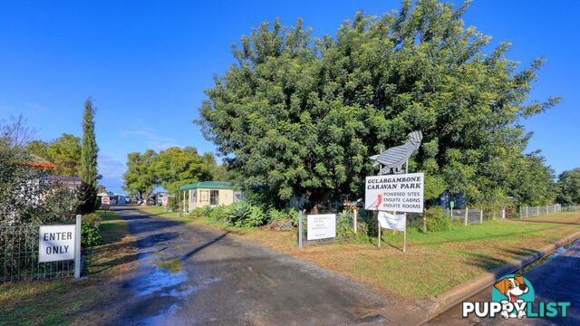 9-17 Skuthorpe Street Gulargambone NSW 2828