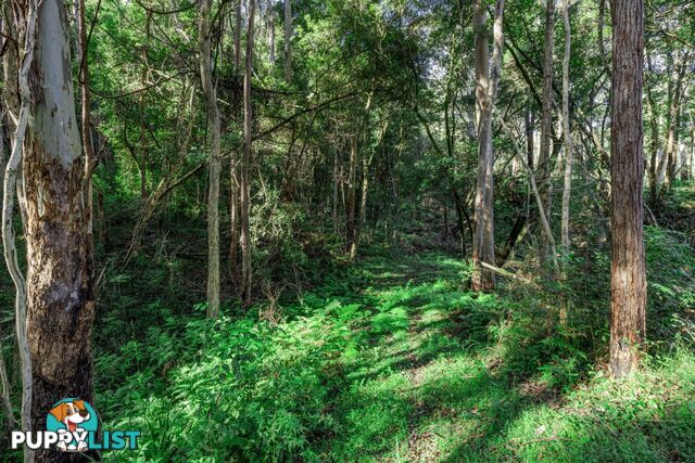 Upper Rollands Plains NSW 2441