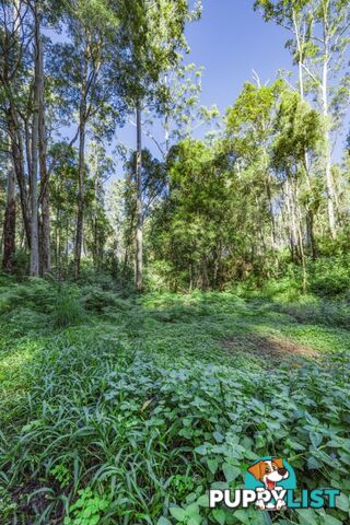 Upper Rollands Plains NSW 2441