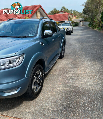 2022 GWM Cannon L L GWM Ute Automatic