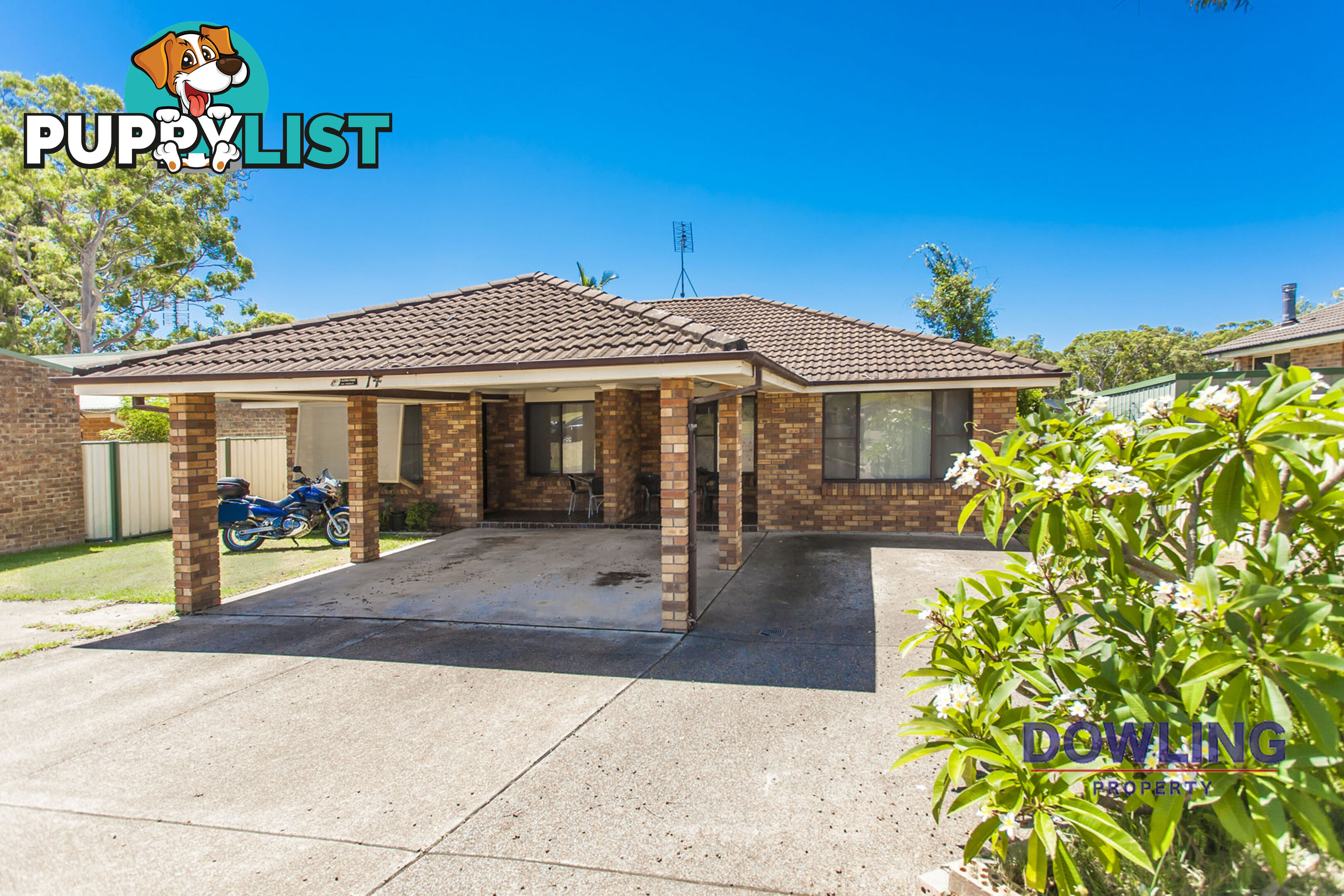 14 Coachwood Drive MEDOWIE NSW 2318