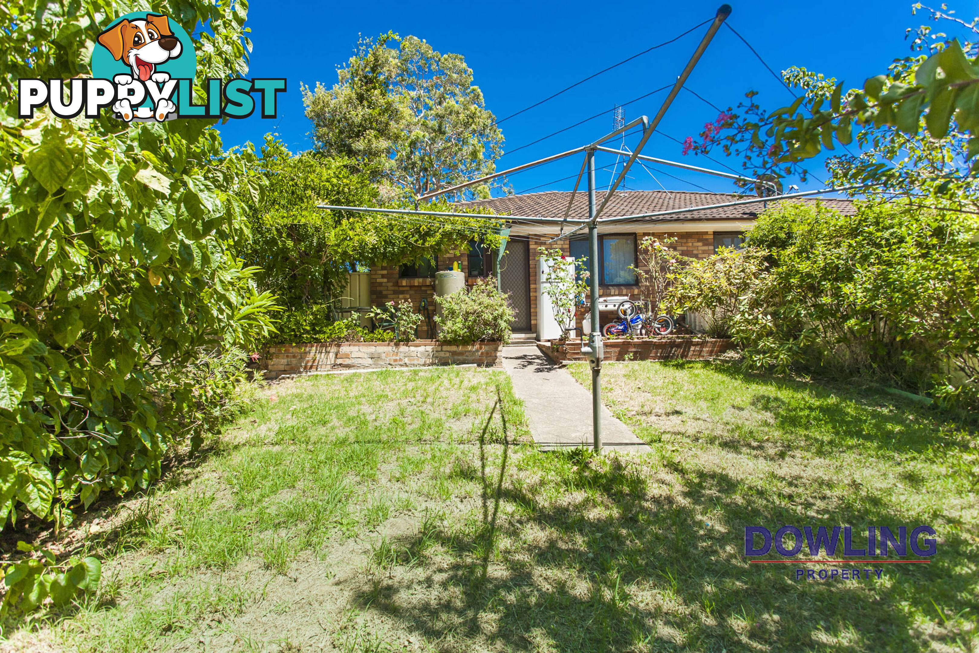 14 Coachwood Drive MEDOWIE NSW 2318