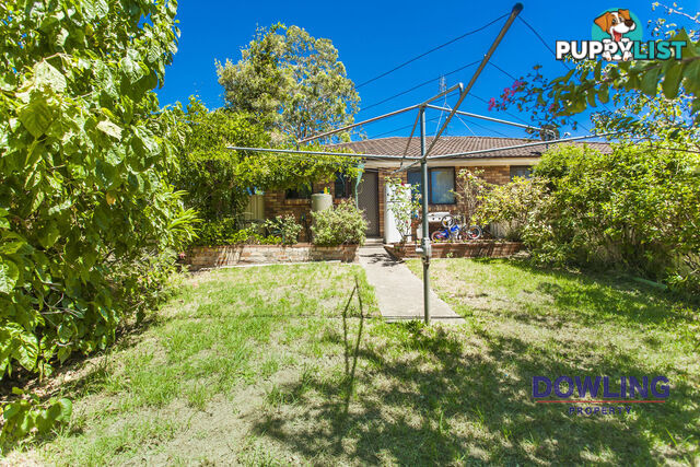 14 Coachwood Drive MEDOWIE NSW 2318