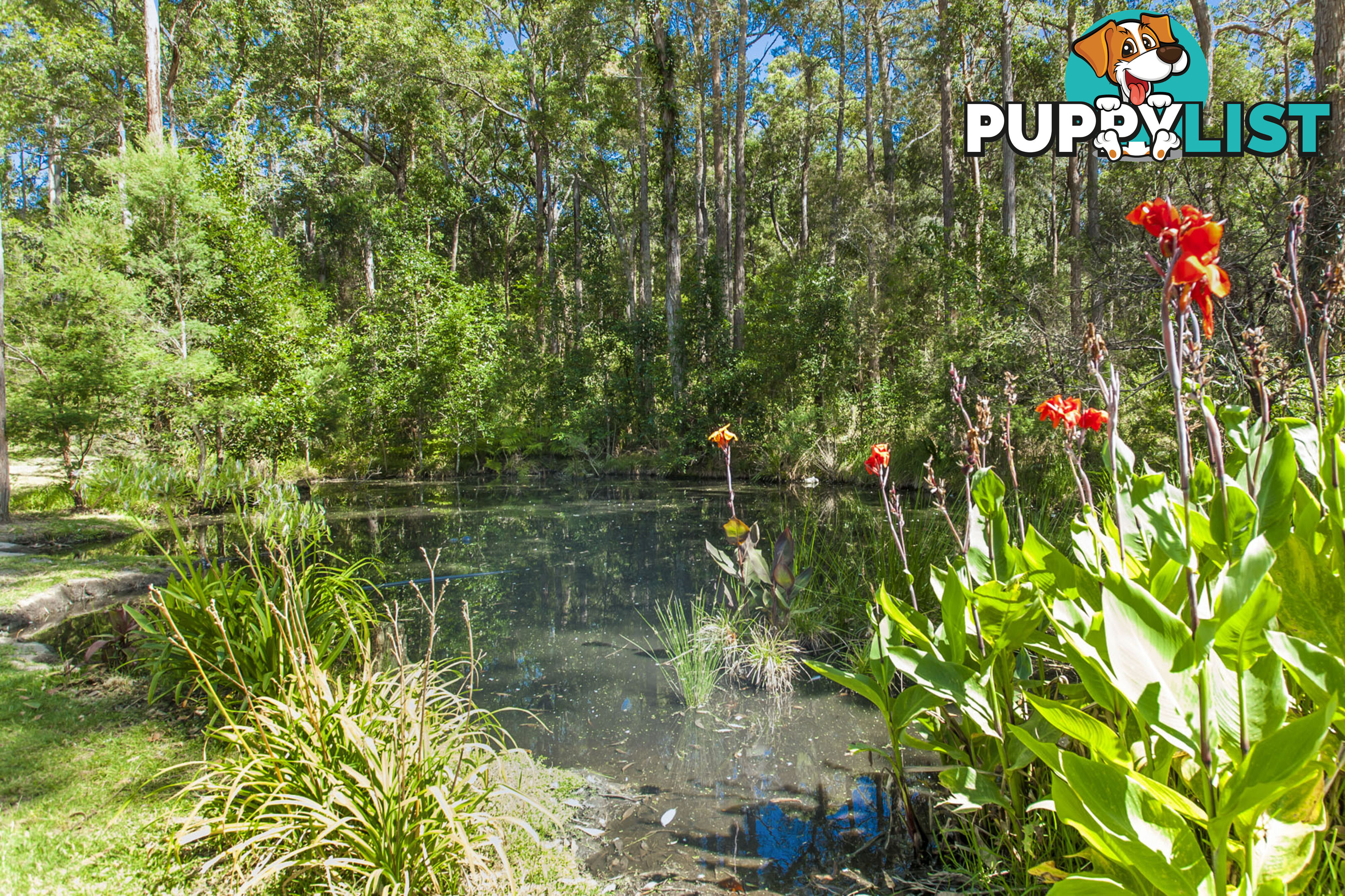 1195 THE BUCKETTS WAY LIMEBURNERS CREEK NSW 2324