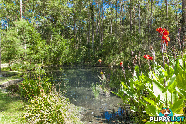 1195 THE BUCKETTS WAY LIMEBURNERS CREEK NSW 2324