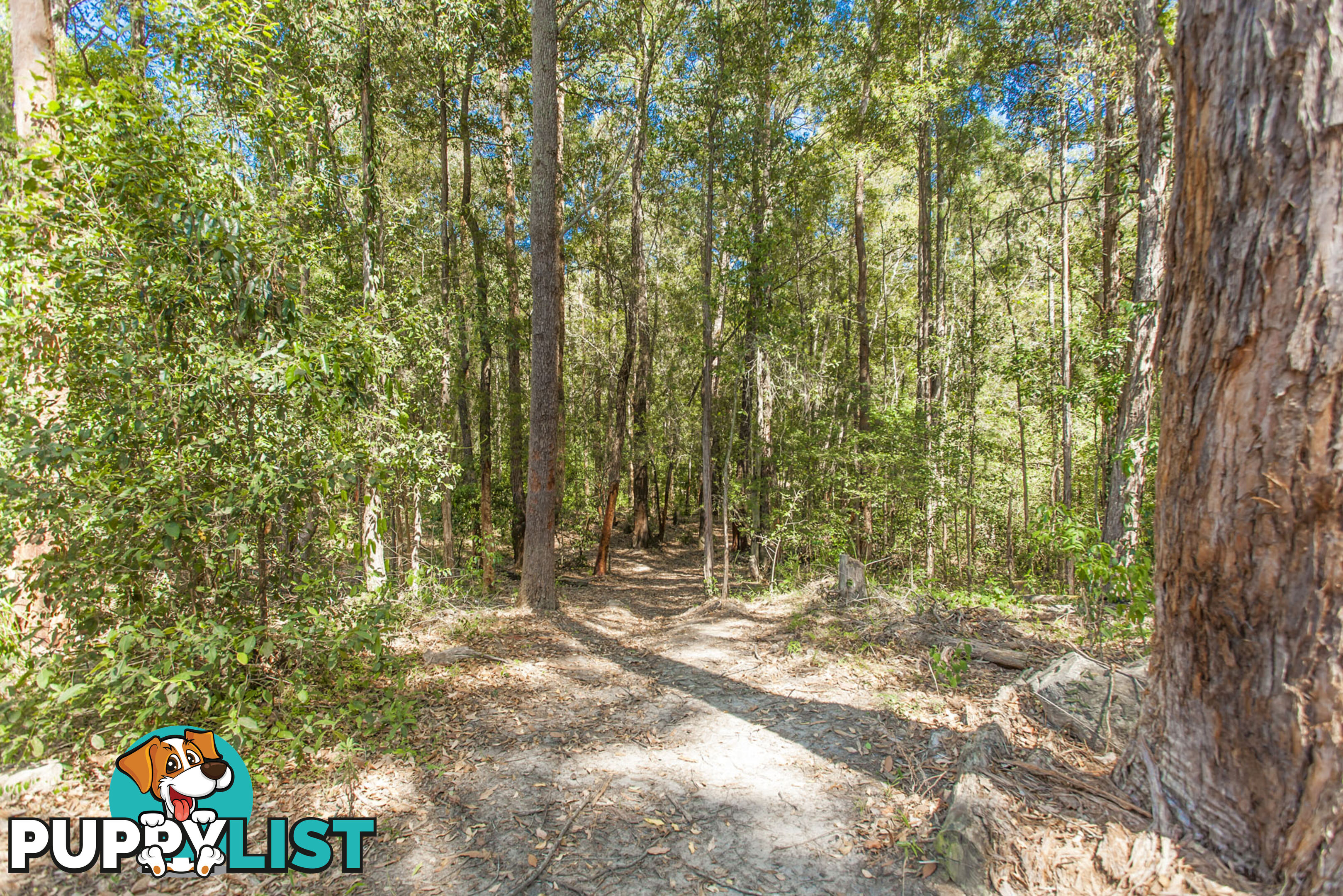 1195 THE BUCKETTS WAY LIMEBURNERS CREEK NSW 2324