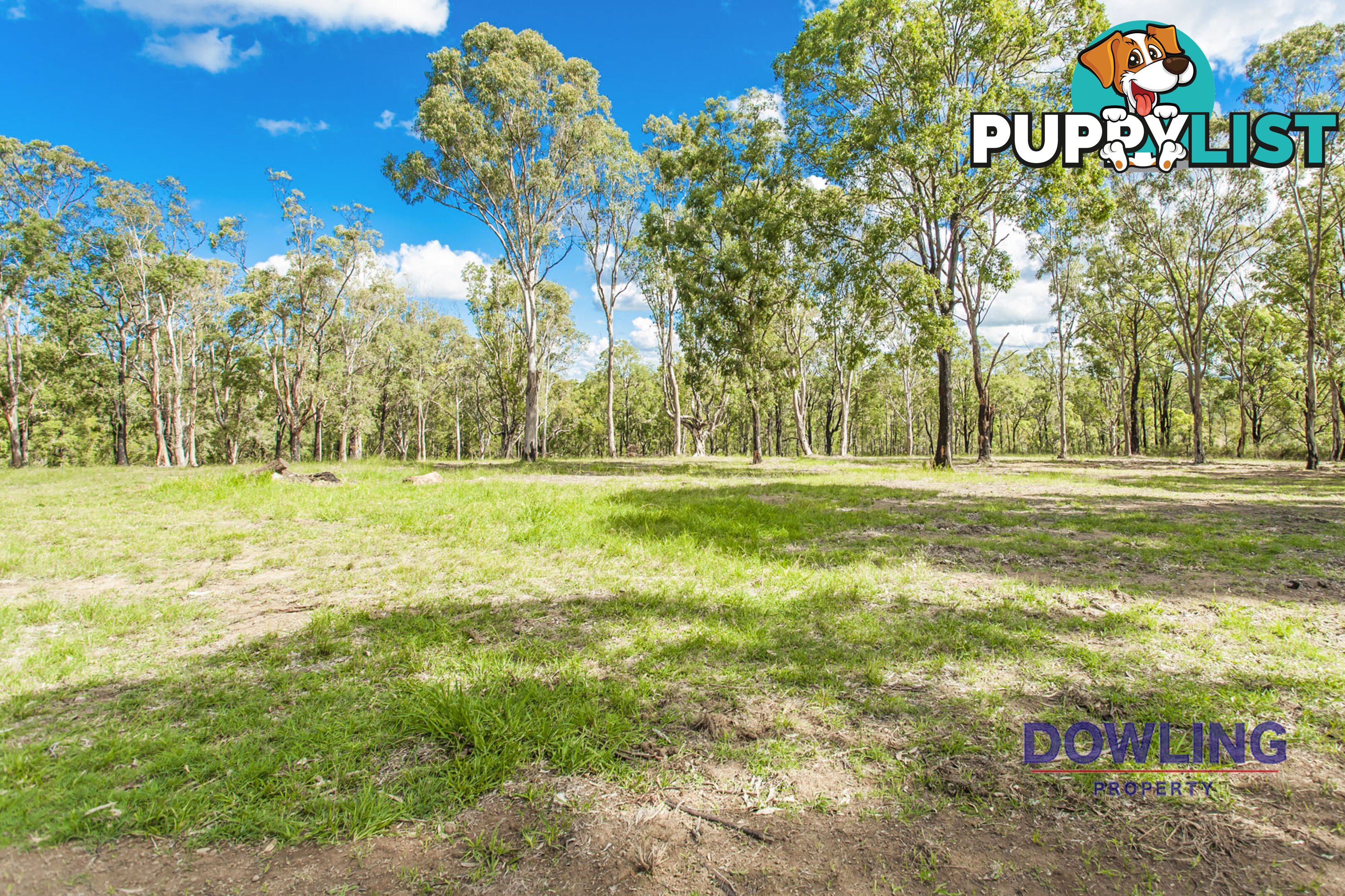 6 WADE CLOSE MEDOWIE NSW 2318