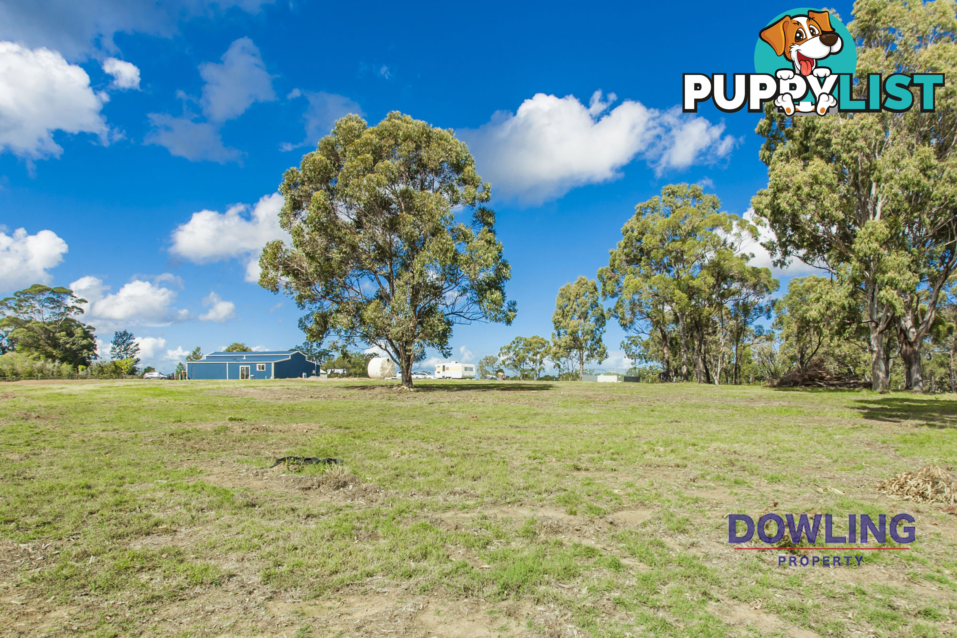 6 WADE CLOSE MEDOWIE NSW 2318