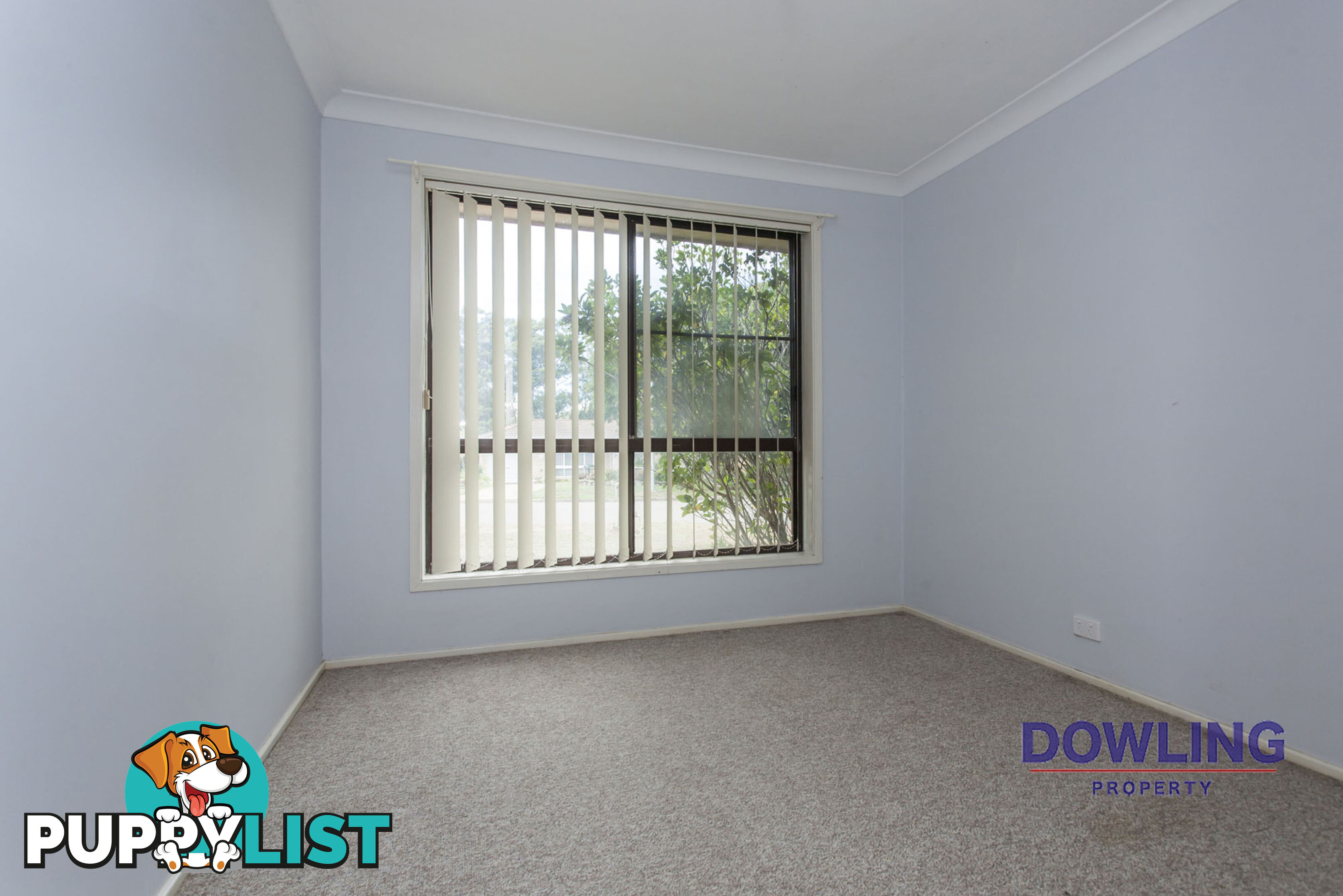 41 Bowman Drive RAYMOND TERRACE NSW 2324