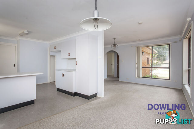 41 Bowman Drive RAYMOND TERRACE NSW 2324