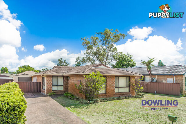 41 Bowman Drive RAYMOND TERRACE NSW 2324