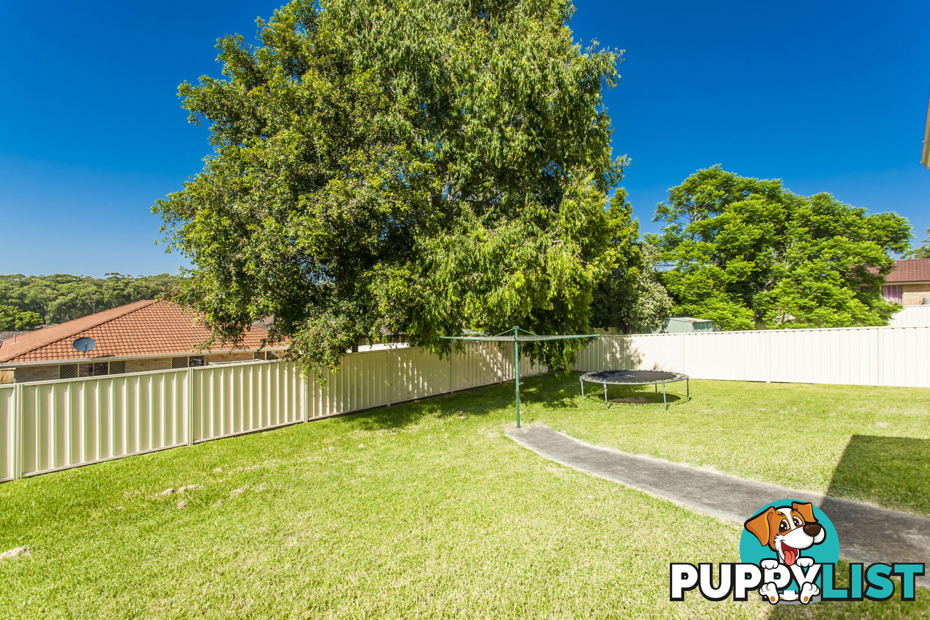 24 Redman Road MEDOWIE NSW 2318