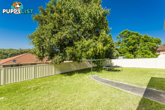 24 Redman Road MEDOWIE NSW 2318