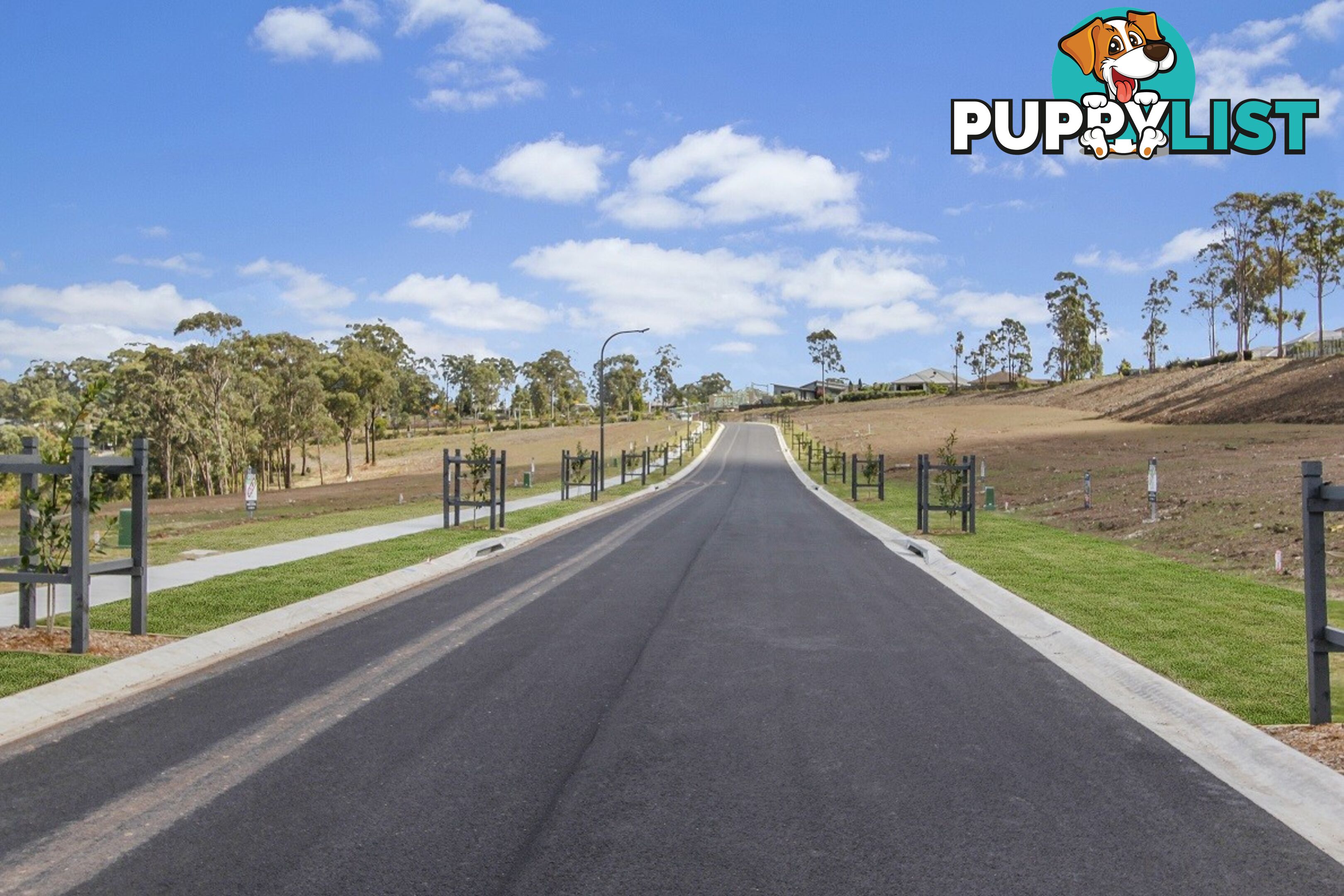 153 Sunningdale Circuit MEDOWIE NSW 2318