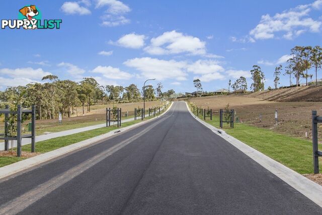 153 Sunningdale Circuit MEDOWIE NSW 2318