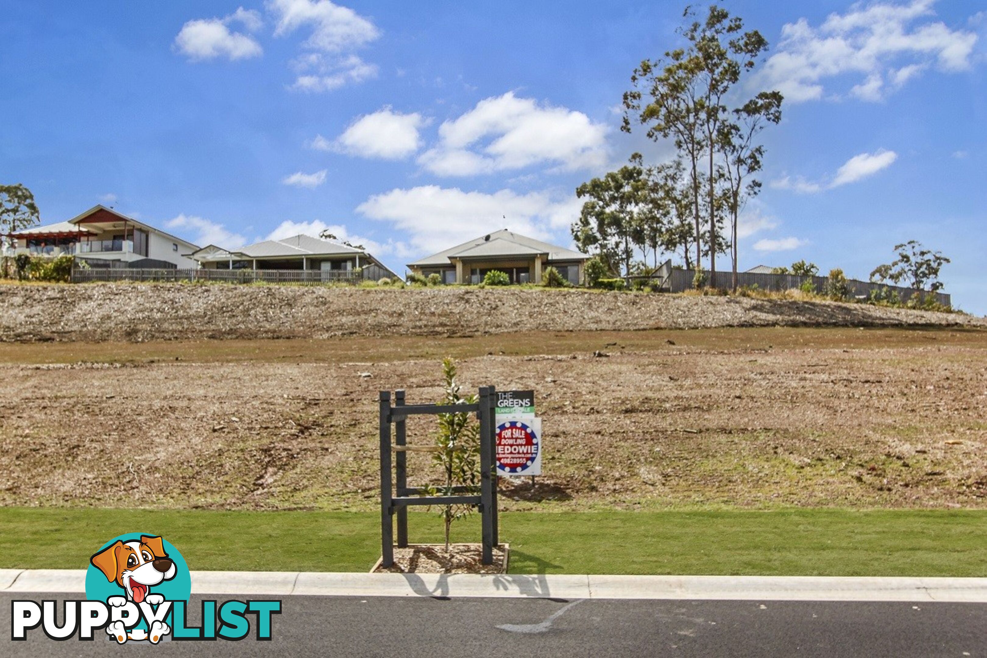 153 Sunningdale Circuit MEDOWIE NSW 2318