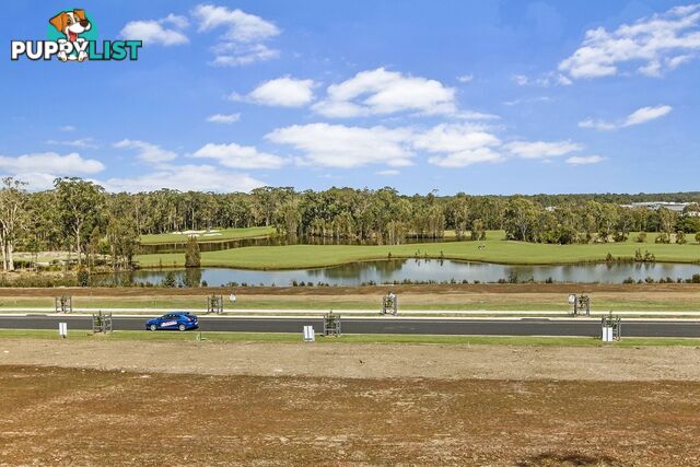 153 Sunningdale Circuit MEDOWIE NSW 2318